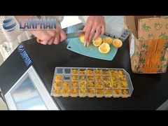 Haus Vakuum Gefriertrockner Frucht Lyophilisator Ausrüstung