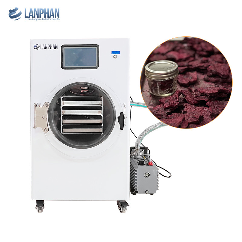 Lanphan Home Erdbeere Weiß Vakuum Gefriertrocknungsmaschine mit Vakuumpumpe oder ohne Ölpumpe
