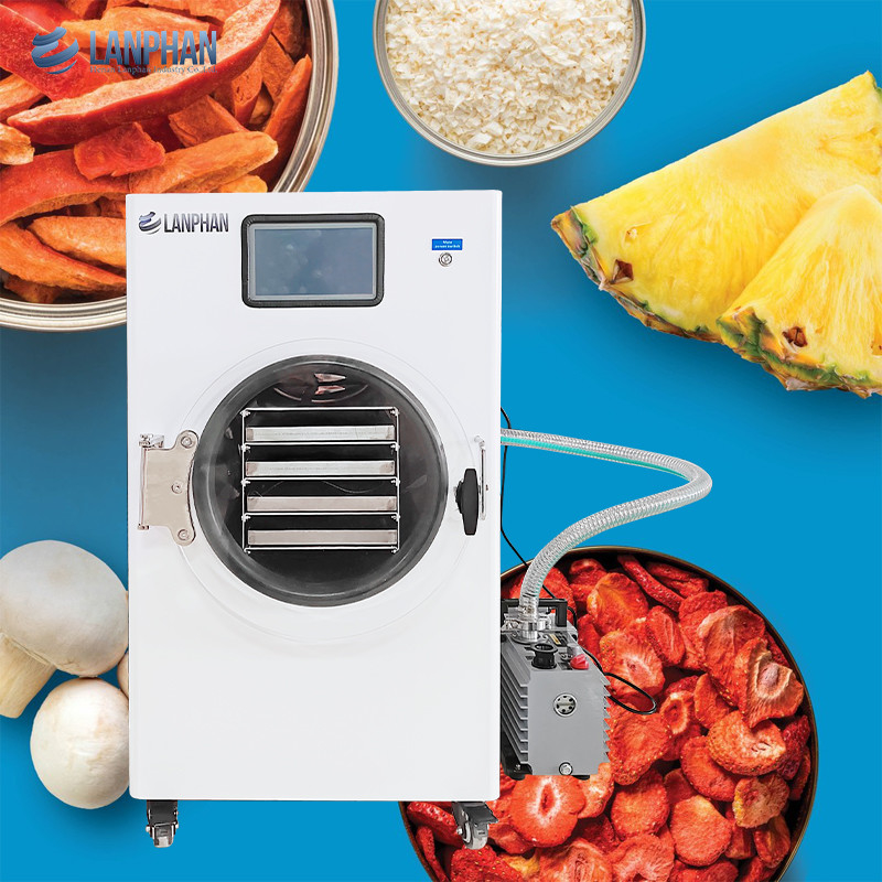 Lanphan Home Erdbeere Weiß Vakuum Gefriertrocknungsmaschine mit Vakuumpumpe oder ohne Ölpumpe