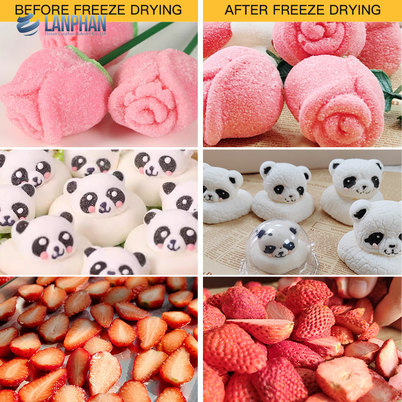 Gewerbliche Lebensmittel Gefriertrockner Pet Treat Joghurt Fleisch Gefriertrockner für Zuhause