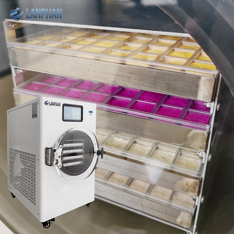 Vakuumgefriermaschine Heim Gefriertrockner Trocknungsgeräte mit Ölnebelfilter