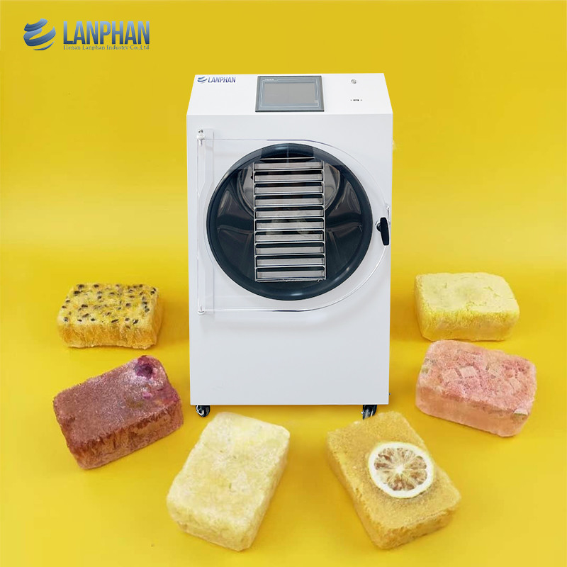 10 Schalen Vakuum Gefriertrockner Maschine Süßigkeiten Obst Tee Milch Lebensmittel Gefriertrockner für den Haushalt