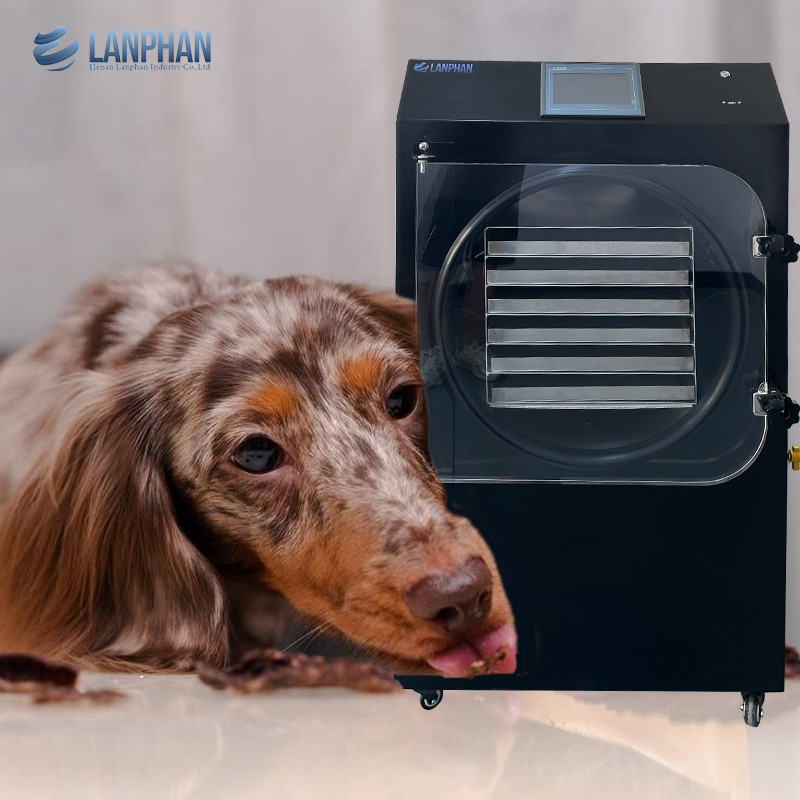25KG/h Schwarze Vakuum Gefriertrocknungsmaschine