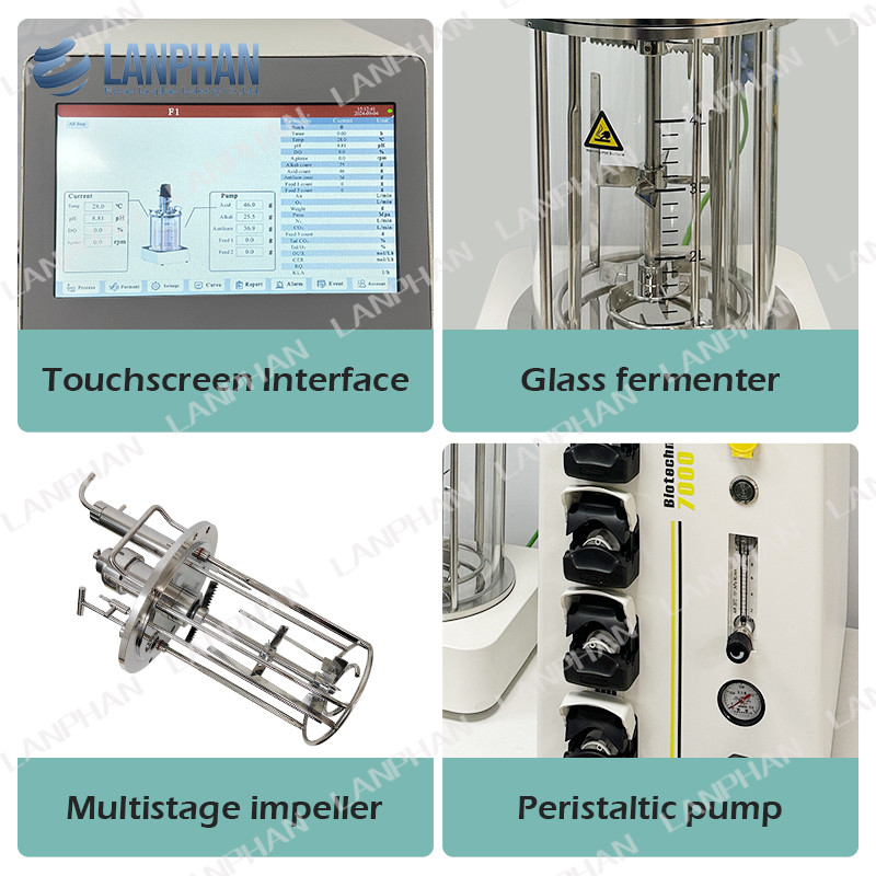 5 l Tierzellkultur Bioreaktor Autoklavierbarer Glas Bioreaktor Mikrobieller Fermentator