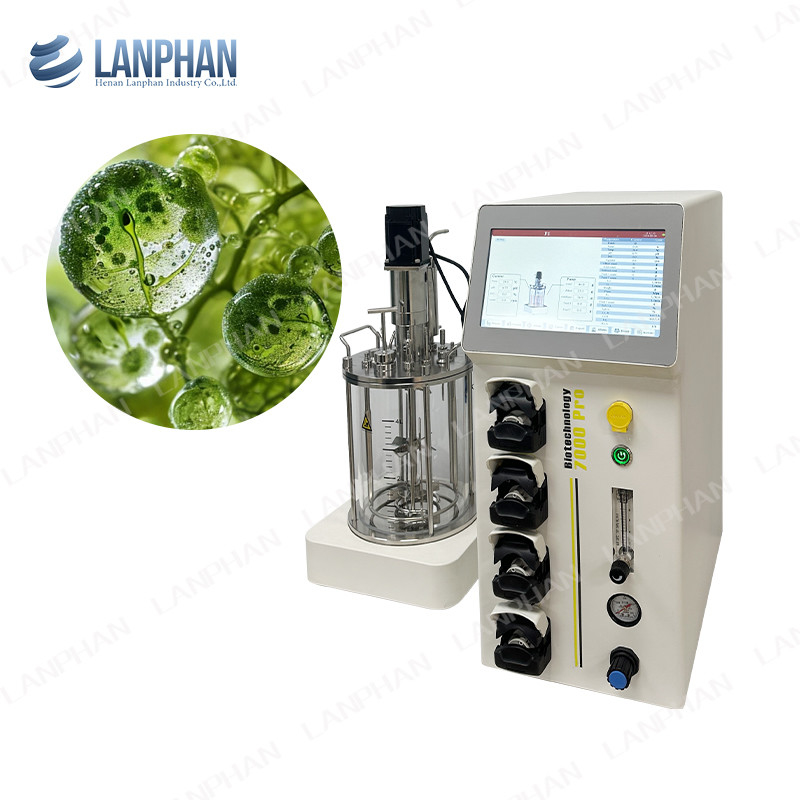 Hefe Spirulina Laborglas Bioreaktor Fermentator Bioreaktor Tierzellkultur Bioreaktor 10L/5L