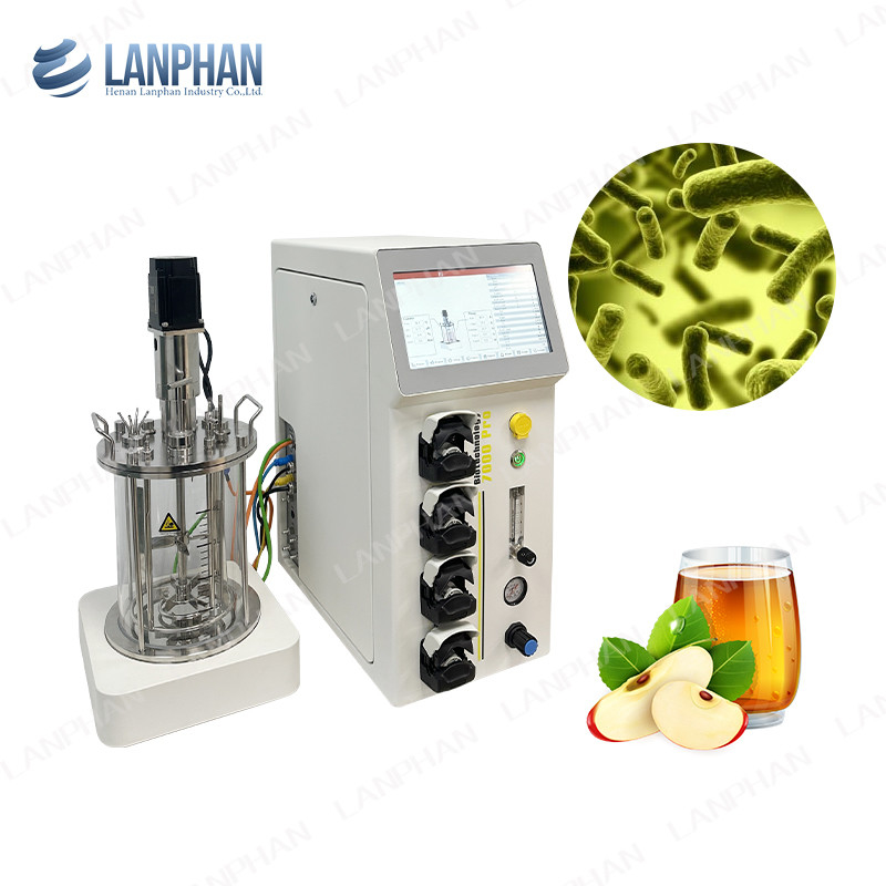 2l 5l 10l Automatische Spirulina-Hefe-Kultur Glasfermenter Bioreaktor für Zellkultur