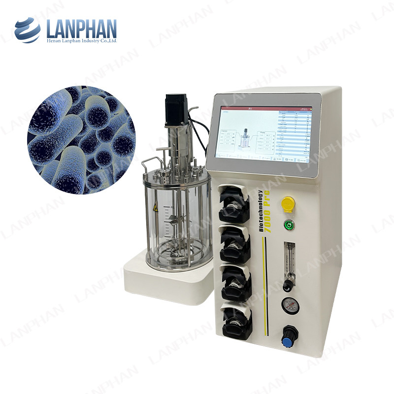 Labor-Glas-Impfstoff Fermentationsbioreaktor versorgte Charge Benchtop Mischtank Bioreaktor