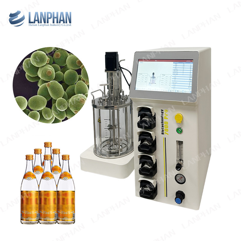 Labor-Glas-Impfstoff Fermentationsbioreaktor versorgte Charge Benchtop Mischtank Bioreaktor