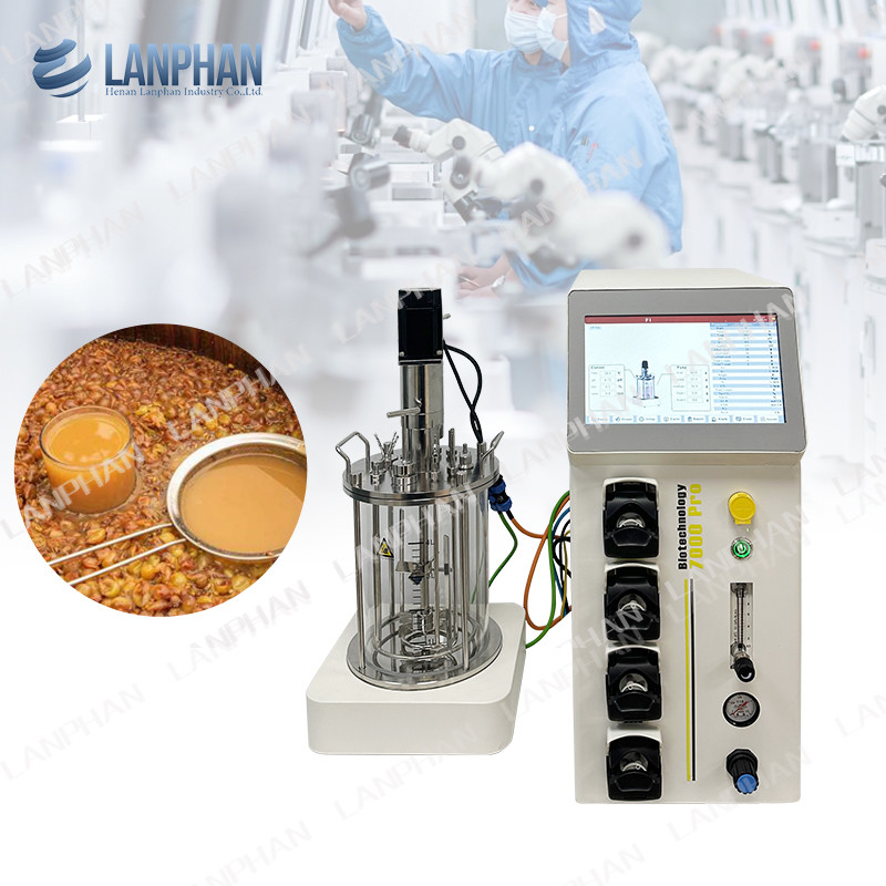 2l 5l 10l Automatische Spirulina-Hefe-Kultur Glasfermenter Bioreaktor für Zellkultur