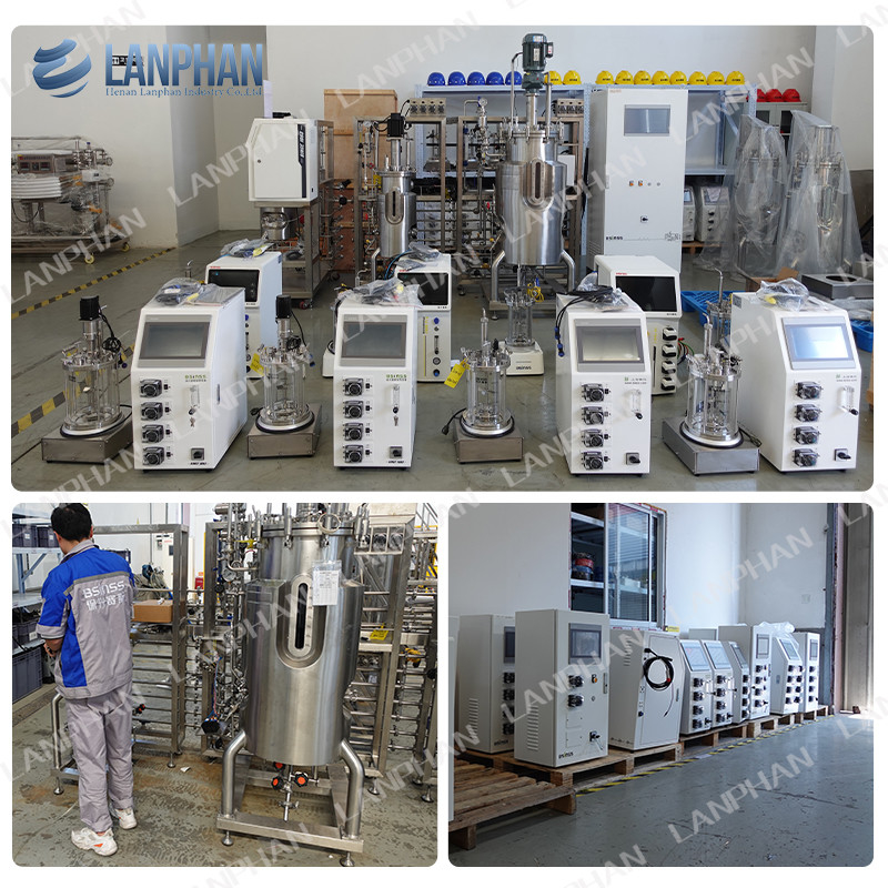 2l 5l 10l Automatische Spirulina-Hefe-Kultur Glasfermenter Bioreaktor für Zellkultur
