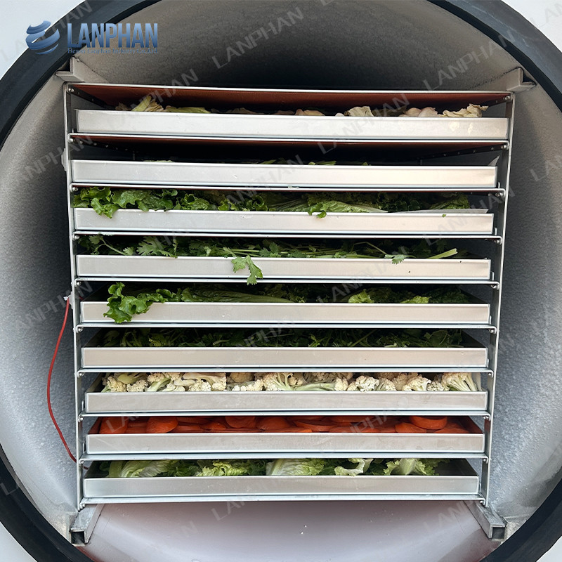 Lanphan Automatische große Gefriertrockner 5m2 Gefriertrockner für Fleisch Obst und Gemüse