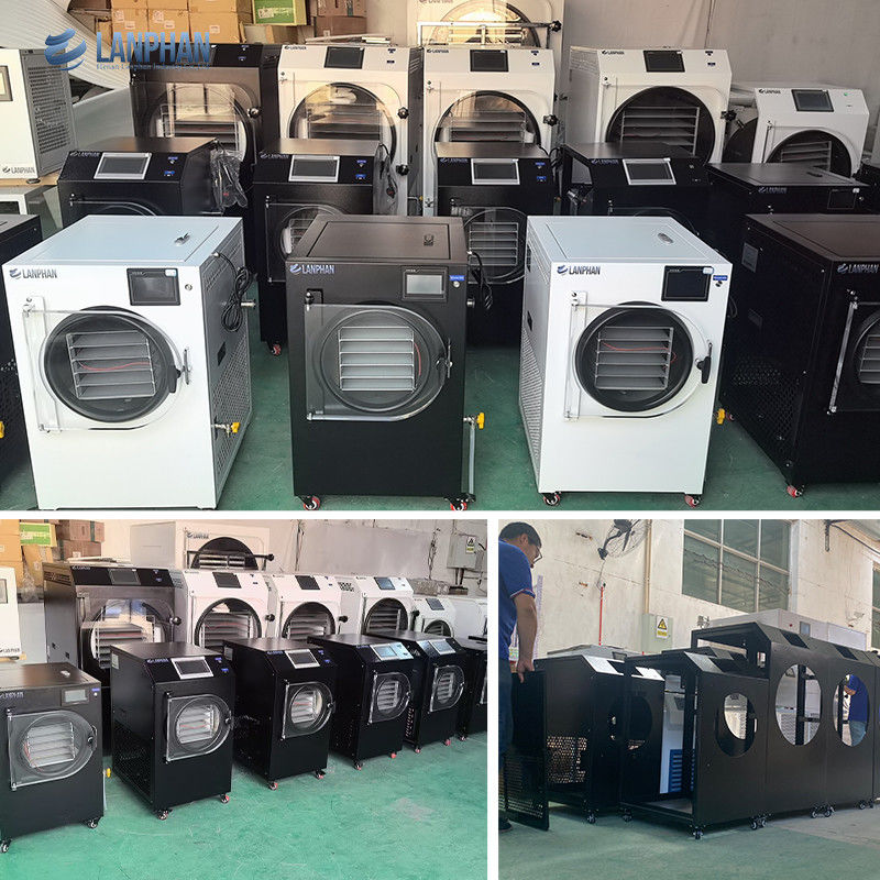 4m2 14 große Trays Vakuum-Lebensmittel-Fruchttrockner-Maschine Preis kommerzielle Lebensmittel-Vakuum-Freisetrocknungsgeräte