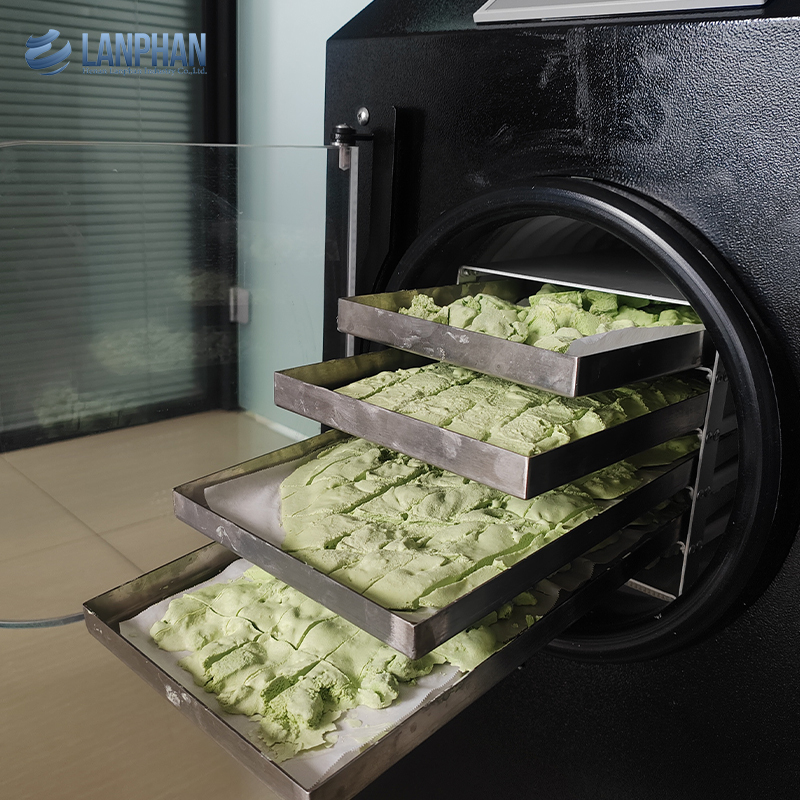 Fabrikhersteller 4-6Kg Kleiner Lyophilisator Nahrungsmittel Vakuum Gefriertrockner Maschine Heim Gefriertrockner
