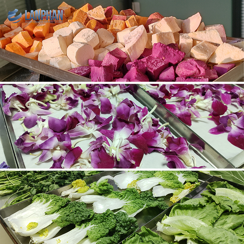 6kg 10kg 20kg Obst-Gefriertrockner, kleine Vakuum-Gefriertrocknungsanlage, Gefriertrockner für Lebensmittel zu Hause