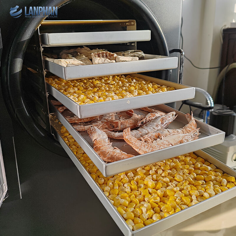 5-Tablett kleiner Edelstahl-Gefriertrockner mit Ölpumpe für Süßigkeiten und Lebensmittel