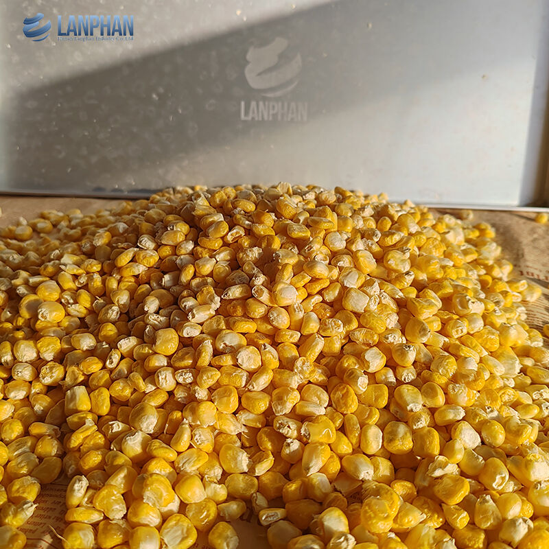 4-6 kg Automatische kleine Lebensmittel-, Obst-, Fleisch-Vakuum-Gefriertrocknungsmaschine für den Hausgebrauch