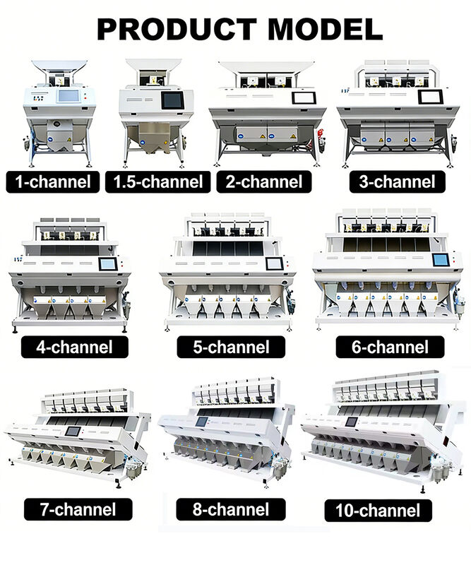 Einzelne Schacht-Farbsortiermaschine für Mehlwurm-Sortierung, Reis-Optiksortiermaschine, Reissortiermaschine