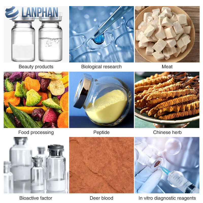 Labor-Kleinserien-Gefriertrocknungsmaschine Lyophilisator für Vials, Präparationskunst, Fleisch, Obst, Gemüse