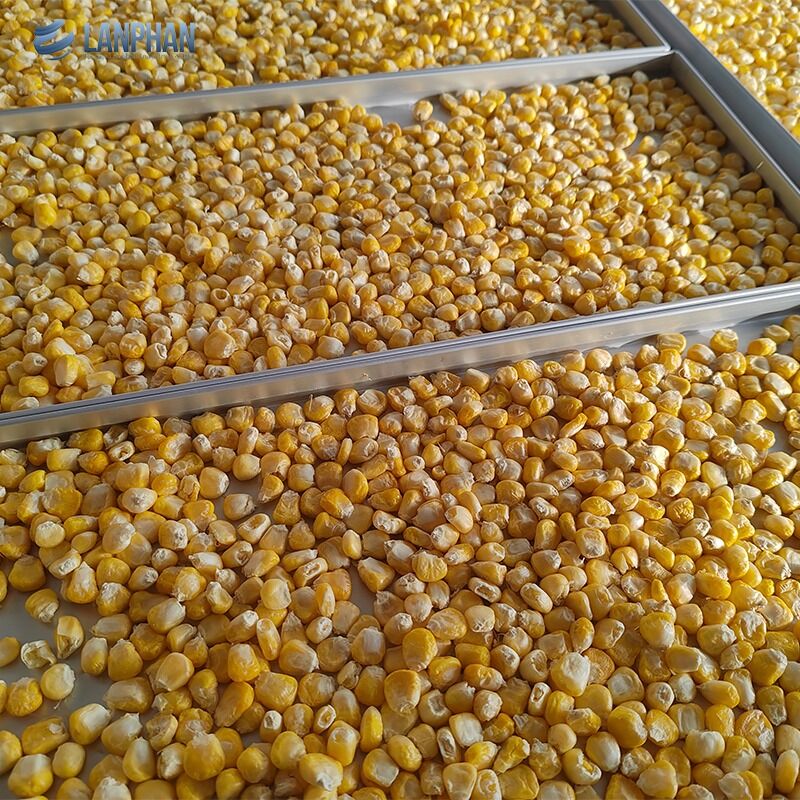 5-Tablett kleiner Edelstahl-Gefriertrockner mit Ölpumpe für Süßigkeiten und Lebensmittel