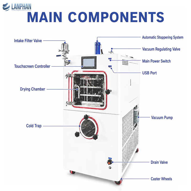 Pharmaceutical Pilot Lyophilizer 0.3m² Laboratory Freeze Dryer with PLC Touchscreen and Silicone Oil Circulation