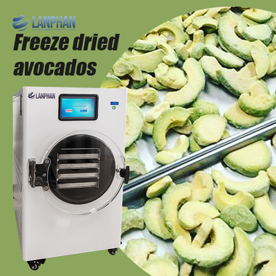 Avocado, Feige, Pfirsich, Wassermelone Fruchttrockner aus Edelstahl