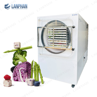 Lanphan Automatische große Gefriertrockner 5m2 Gefriertrockner für Fleisch Obst und Gemüse