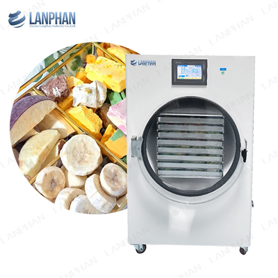 45 kg 40 kg Hausfriertrockner Früchte Hundesüßigkeiten Lebensmittel Gemüse Früchte Frieschrockner