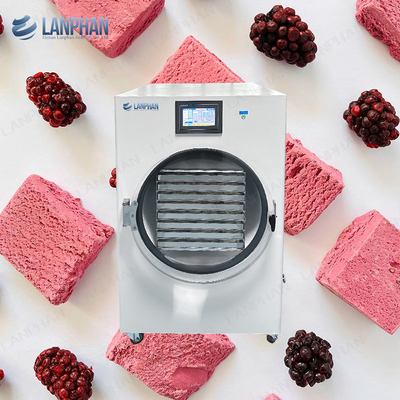 3M2 Lanphan Süßigkeiten Kuchen Gefriertrockner Maschine Obst Gemüse Gefriertrockner Lypholizer Maschine
