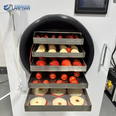 Fabrikhersteller 4-6Kg Kleiner Lyophilisator Nahrungsmittel Vakuum Gefriertrockner Maschine Heim Gefriertrockner
